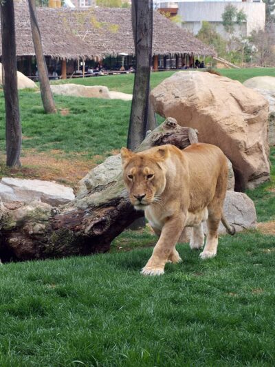 Zoo et aquarium